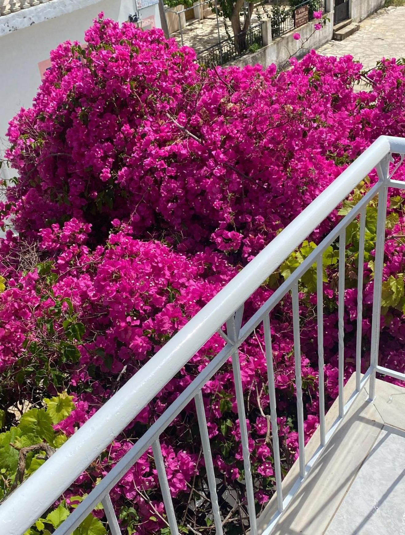 פיסקרדו Angel Apartment מראה חיצוני תמונה